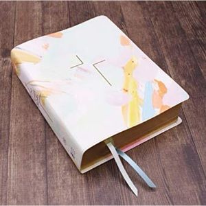 NWOT - The Jesus Bible ESV